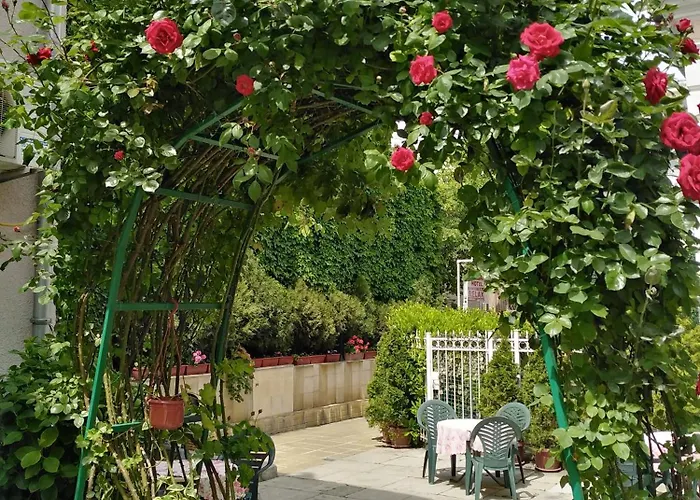 нотел релакс *